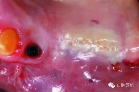 640.webp (1).jpg 640.webp (1).jpg