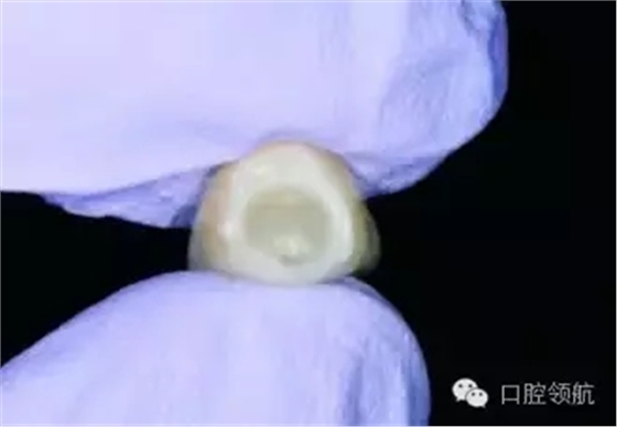 640.webp (7).jpg 640.webp (7).jpg