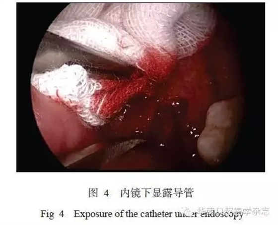 640.webp (3).jpg 640.webp (3).jpg