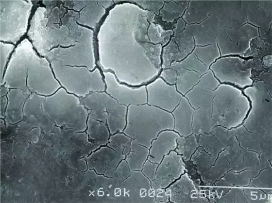 640.webp.jpg 640.webp.jpg