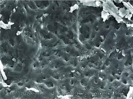 640.webp (1).jpg 640.webp (1).jpg