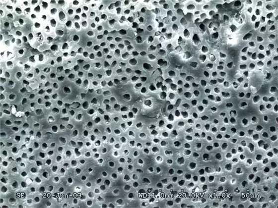 640.webp (2).jpg 640.webp (2).jpg