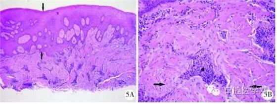 640.webp (3).jpg 640.webp (3).jpg