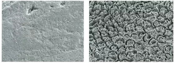 640.webp.jpg 640.webp.jpg