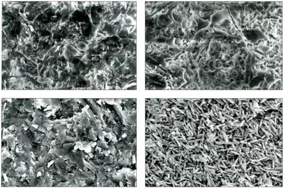 640.webp (2).jpg 640.webp (2).jpg