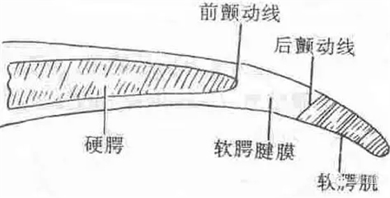 640.webp (26).jpg 640.webp (26).jpg