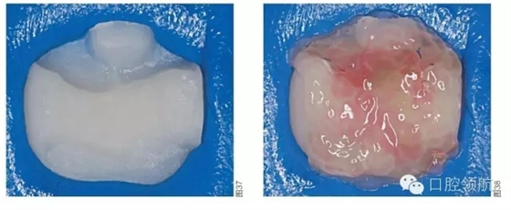 640.webp (7).jpg 640.webp (7).jpg