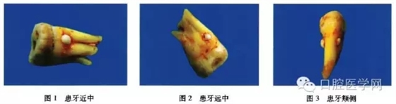 640.webp.jpg 640.webp.jpg