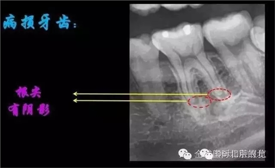 640.webp (4).jpg 640.webp (4).jpg