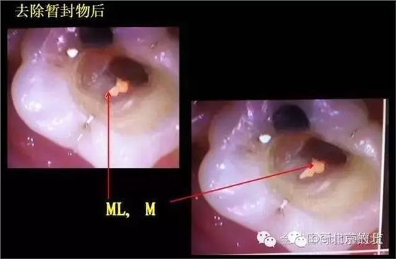 640.webp (11).jpg 640.webp (11).jpg