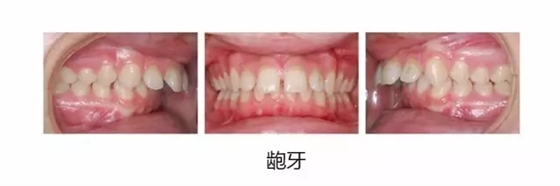 640.webp.jpg 640.webp.jpg