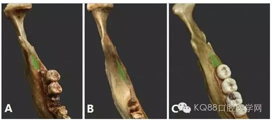 640.webp.jpg 640.webp.jpg