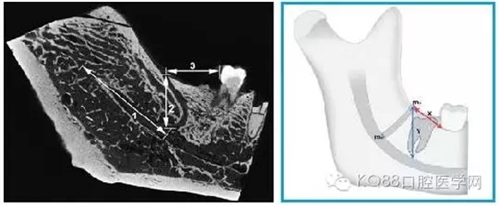 640.webp (3).jpg 640.webp (3).jpg