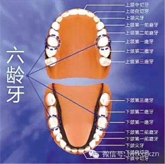 640.webp (1).jpg 640.webp (1).jpg