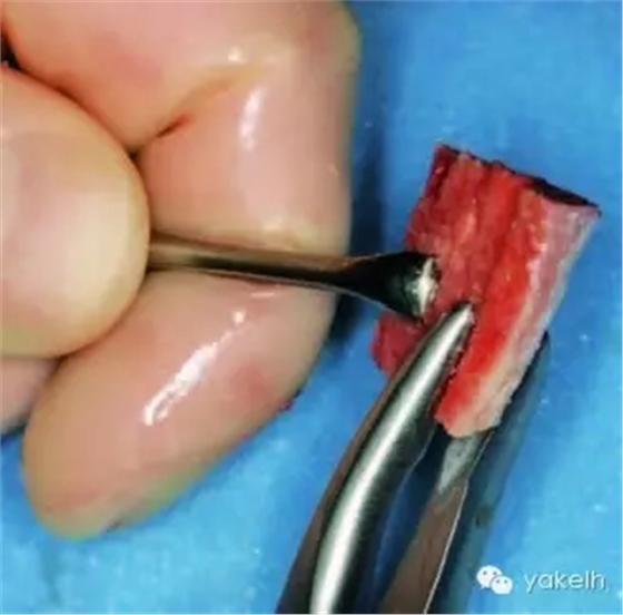 640.webp (2).jpg 640.webp (2).jpg