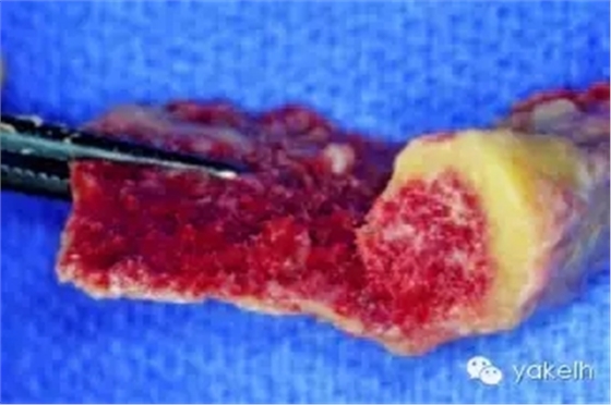 640.webp (5).jpg 640.webp (5).jpg