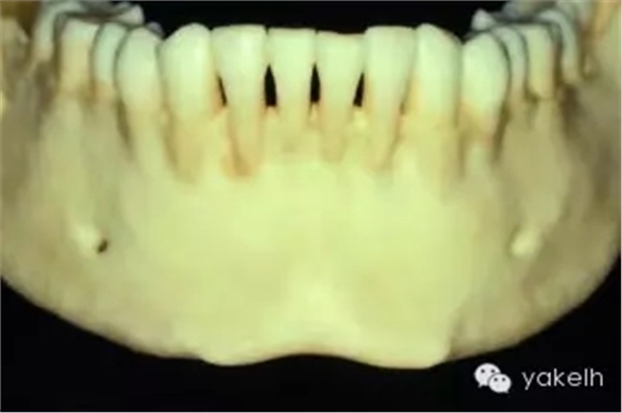 640.webp (14).jpg 640.webp (14).jpg