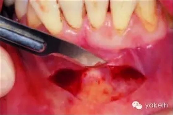 640.webp (15).jpg 640.webp (15).jpg