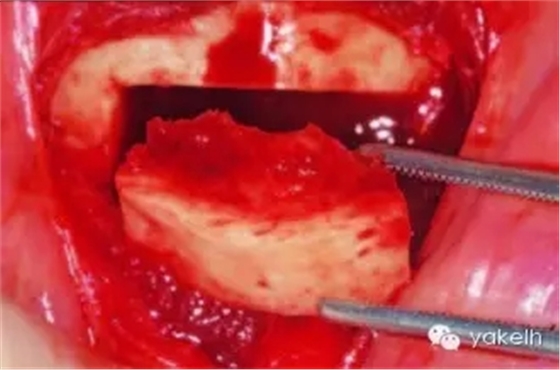 640.webp (19).jpg 640.webp (19).jpg