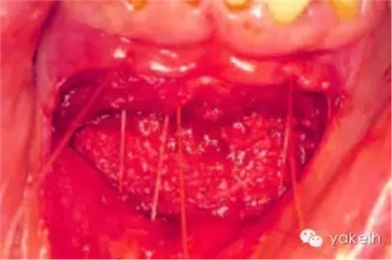 640.webp (21).jpg 640.webp (21).jpg