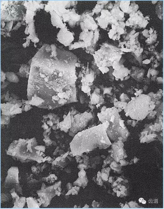 640.webp.jpg 640.webp.jpg