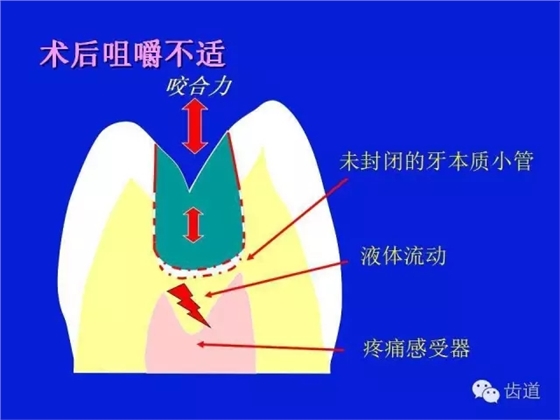 640 (2).webp.jpg 640 (2).webp.jpg