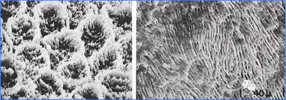 640 (5).webp.jpg 640 (5).webp.jpg