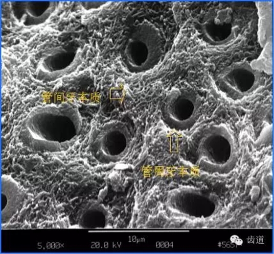 640 (5).webp (1).jpg 640 (5).webp (1).jpg