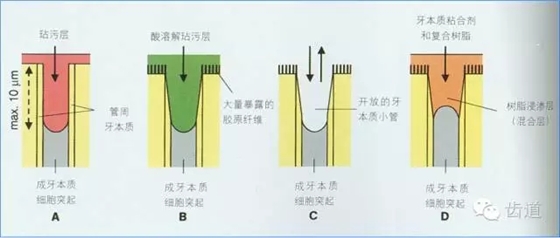 640 (5).webp (3).jpg 640 (5).webp (3).jpg