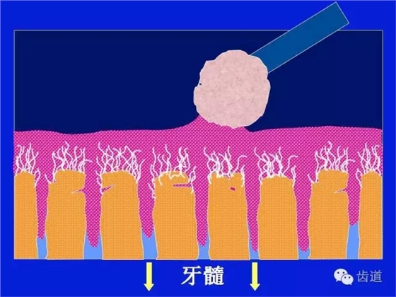 640 (5).webp (6).jpg 640 (5).webp (6).jpg