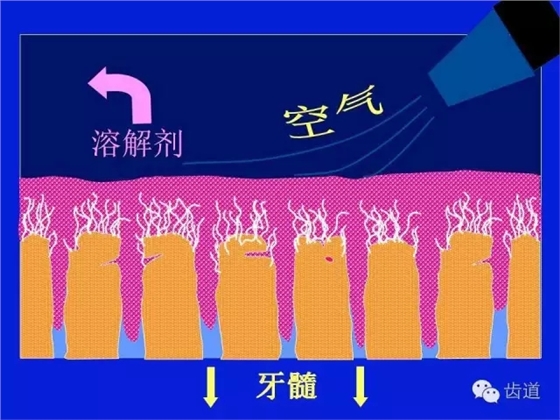 640 (5).webp (7).jpg 640 (5).webp (7).jpg