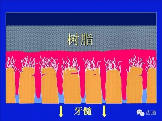 640 (5).webp (9).jpg 640 (5).webp (9).jpg