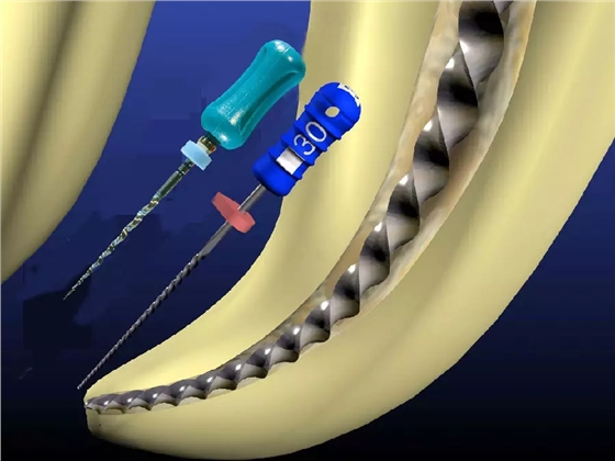 0.webp (2).jpg 0.webp (2).jpg