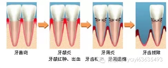 0.webp (5).jpg 0.webp (5).jpg