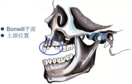 640.webp (11).jpg 640.webp (11).jpg