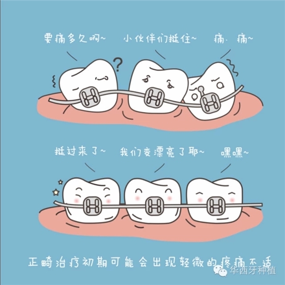 640.webp.jpg 640.webp.jpg