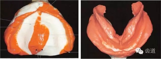 640.webp (4).jpg 640.webp (4).jpg