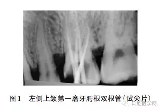 640.webp.jpg 640.webp.jpg