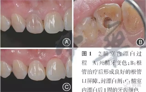 640.webp.jpg 640.webp.jpg