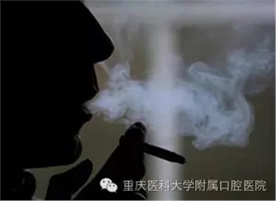 640.webp.jpg 640.webp.jpg