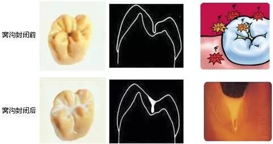 640.webp (12).jpg 640.webp (12).jpg