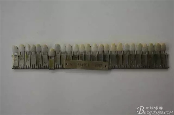 640.webp.jpg 640.webp.jpg