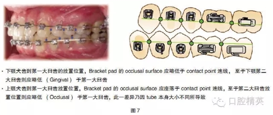 640.webp (4).jpg 640.webp (4).jpg