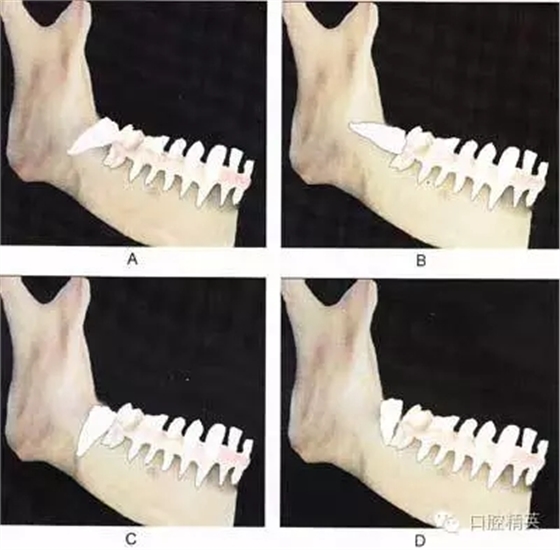 640.webp.jpg 640.webp.jpg