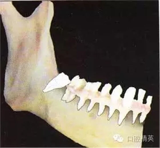 640.webp (1).jpg 640.webp (1).jpg