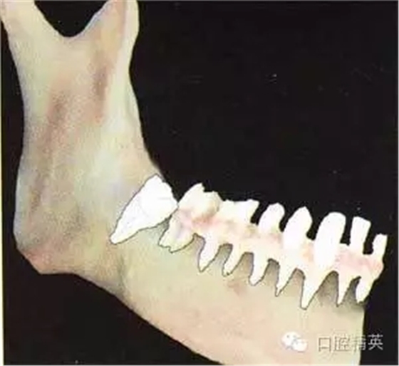 640.webp (2).jpg 640.webp (2).jpg