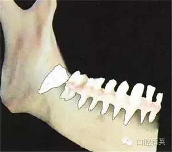 640.webp (3).jpg 640.webp (3).jpg