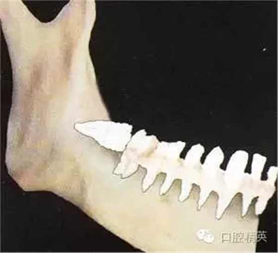 640.webp (4).jpg 640.webp (4).jpg