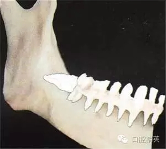 640.webp (5).jpg 640.webp (5).jpg