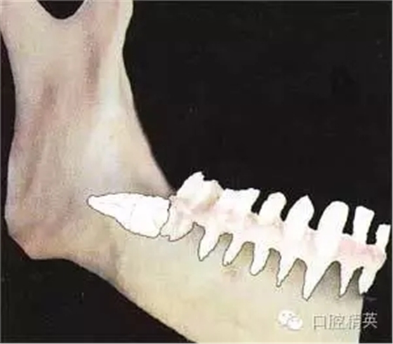 640.webp (6).jpg 640.webp (6).jpg